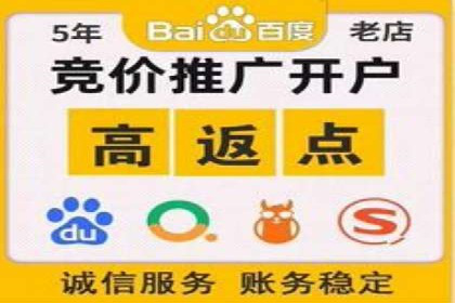 案例研究：竞价广告助力企业品牌升级